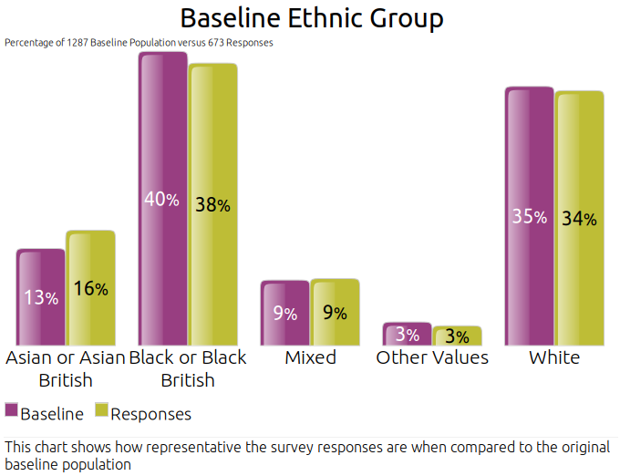 Baseline Ethnic Group